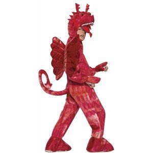 Red Dragon Milano Children's Costume Sz Small